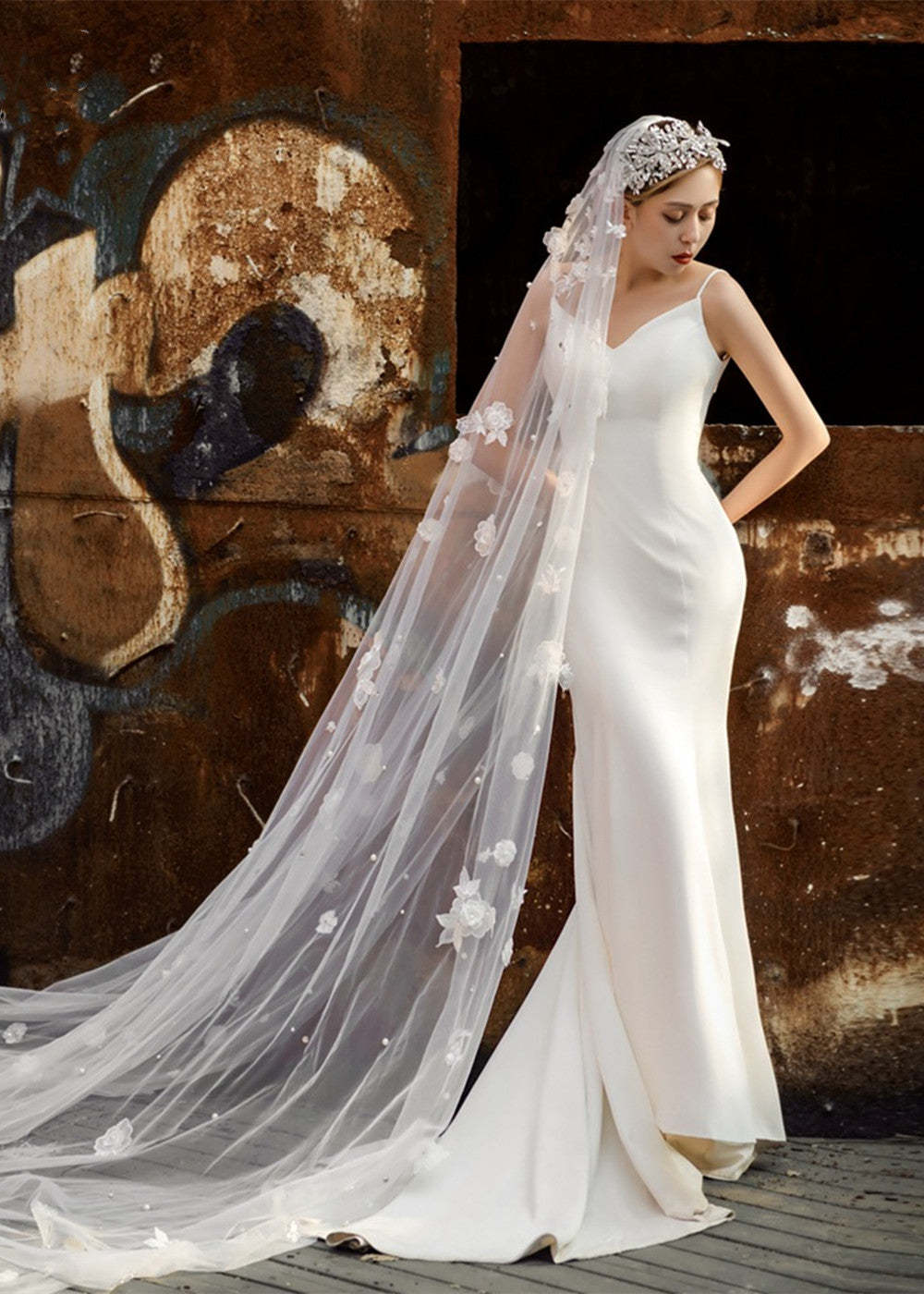 One-Tier Cut Edge Tulle Cathedral Veils With Appliques