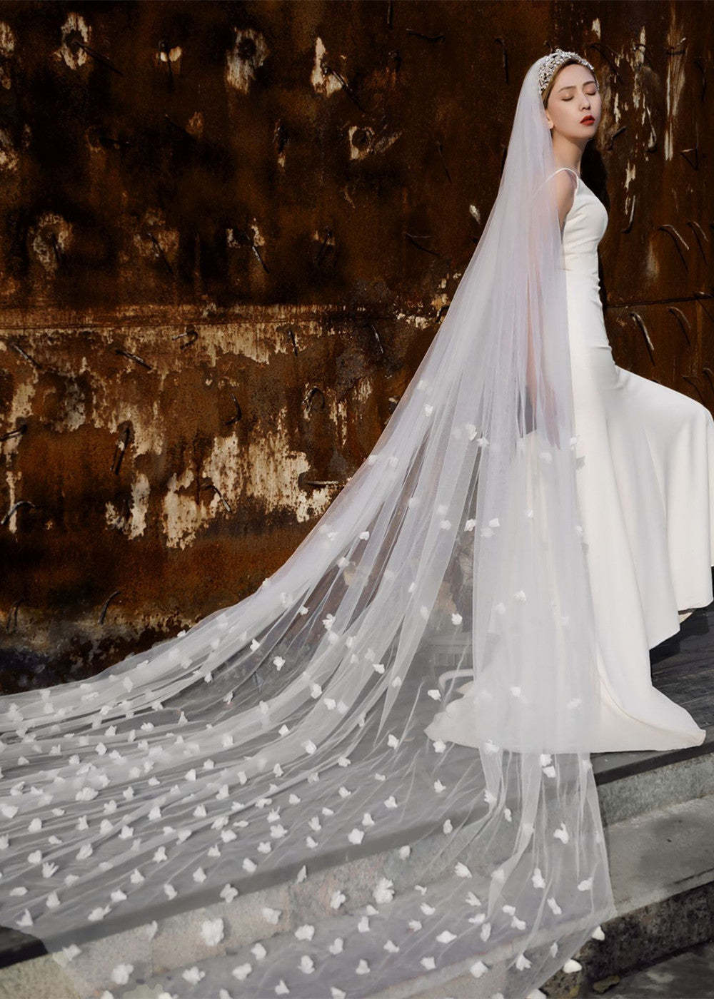 One-Tier Cut Edge Tulle Cathedral Veils With Appliques