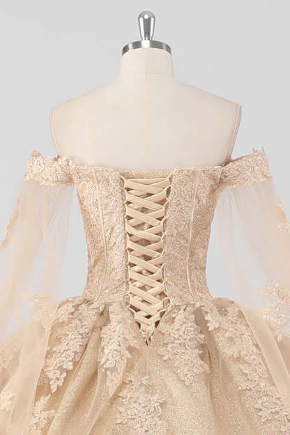 Princess Champagne Off the Shoulder Tulle Quinceanera Dress with Appliques
