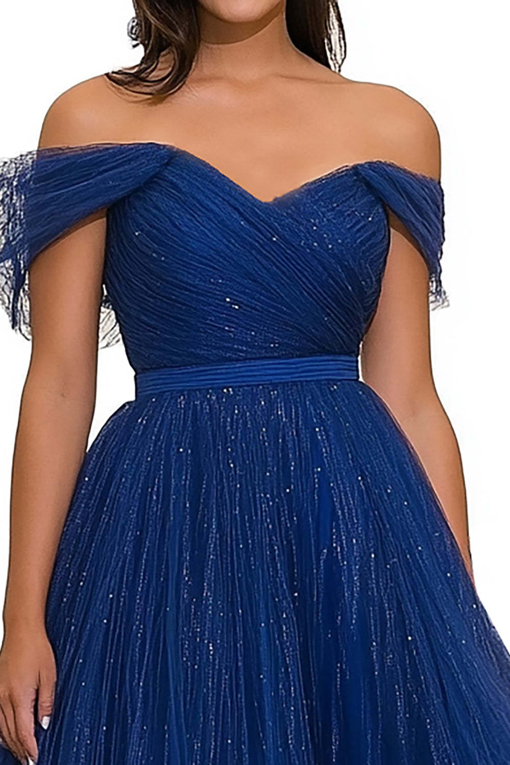 Sparkly Royal Blue Ball Gown Tulle Gala Dress