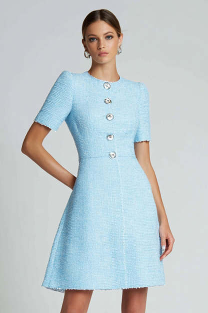 Blue Round Neck A Line Buttons Short Tweed Homecoming Dress with Sleeves