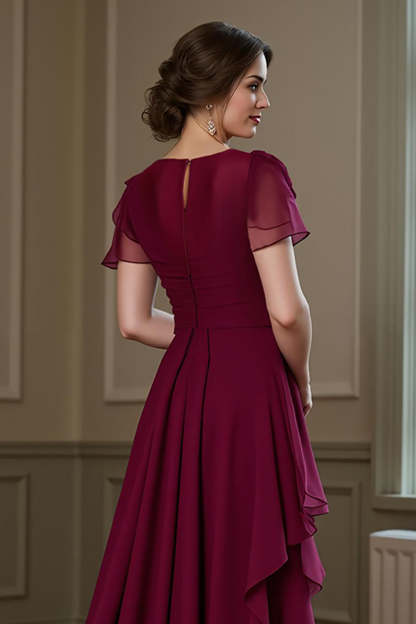 Chiffon Burgundy A Line Ruffled Round Neck Maxi Mother of the Bride Dress
