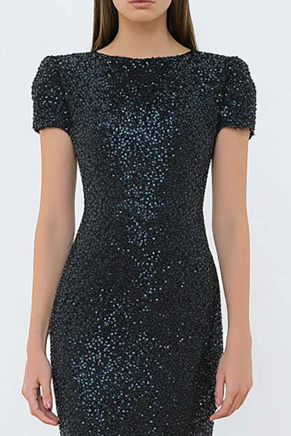 Black Sparkly Sequin Mermaid Long Formal Dress with Sleeves