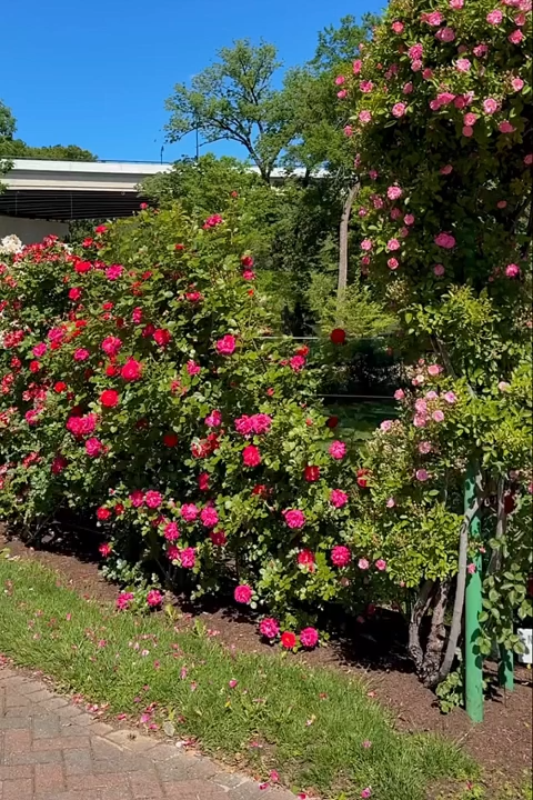 Blush Corset Floral Tiered A-Line Prom Dress with Slit