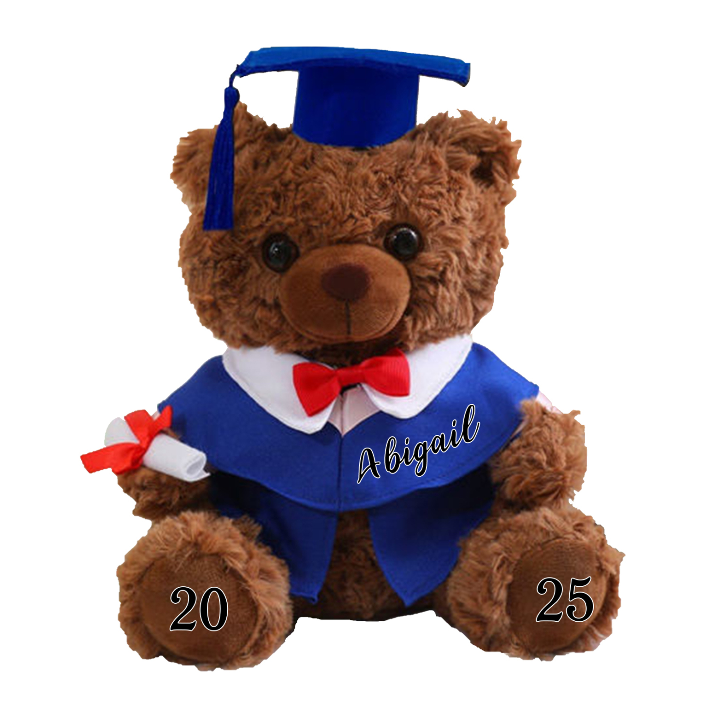 Graduation Teddy Bear Gift Style 2– Personalized Soft Plush Doll for 2024 or 2025 Graduates