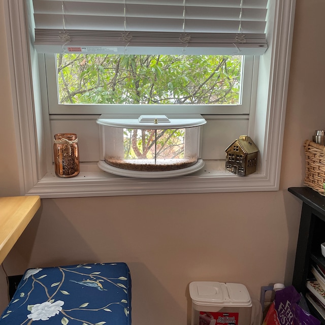 180° Clear View Window Tray Bird Feeder