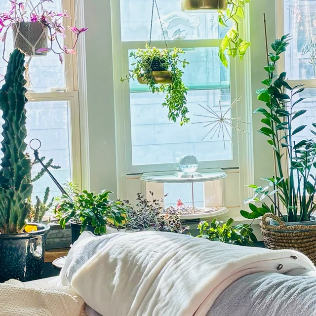 180° Clear View Window Tray Bird Feeder