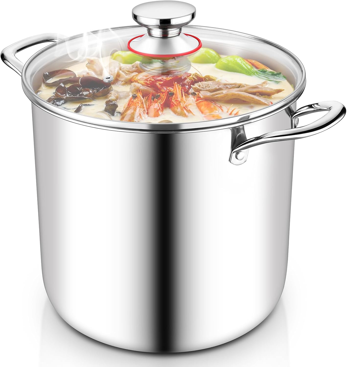 12 Quart Stock Pot, Stainless Steel Tri-ply Stockpot Large Pasta Soup Cooking Pot with Clear Lid, for Induction Gas Electric Ceramic, Healthy & Heavy Duty, Solid Handles & Dishwasher Safe
