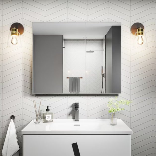 30-in x 24-in Surface/Recessed Mount Silver Mirrored Rectangle Soft Close Medicine Cabinet