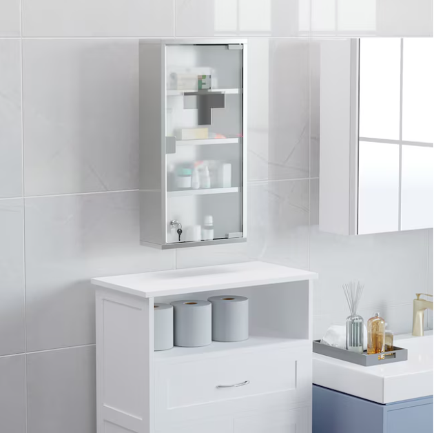 12-in x 24-in Surface Mount Silver Rectangle Soft Close Medicine Cabinet