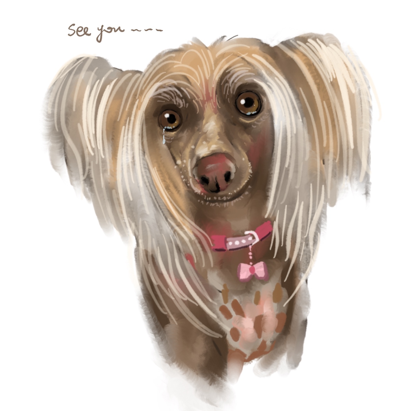 Best Friends Forever: Hand-Painted Pet Portraits