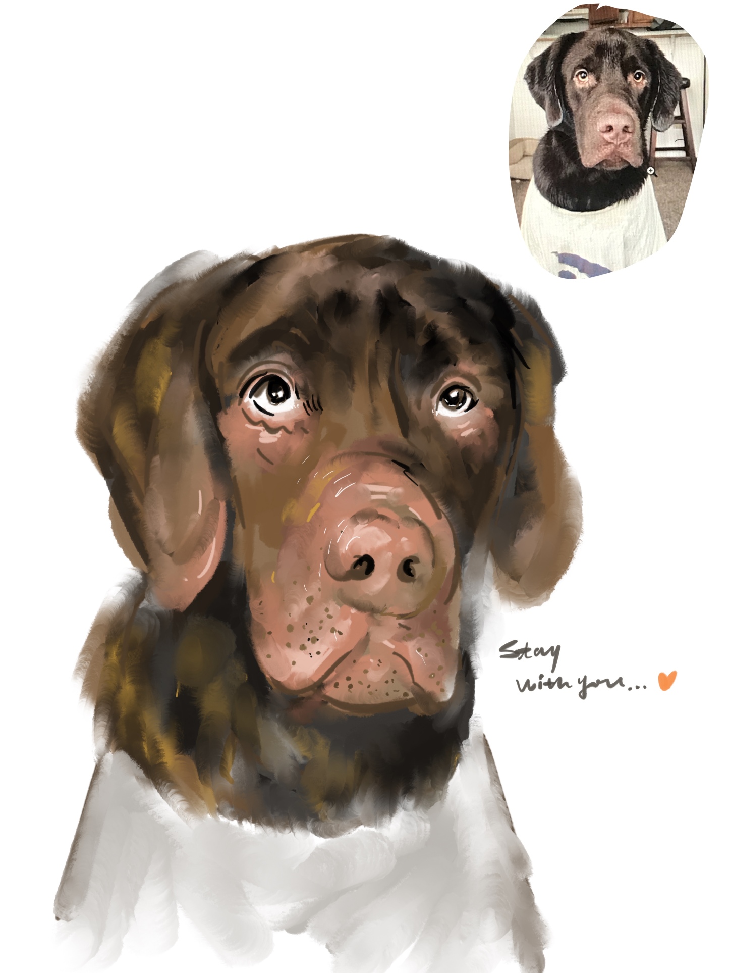 Best Friends Forever: Hand-Painted Pet Portraits