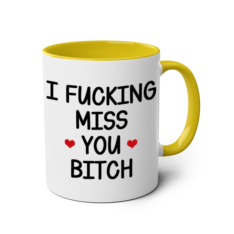 I FUCKING MISS YOU BITCH mug
