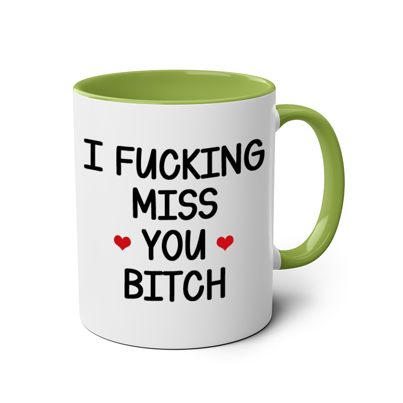 I FUCKING MISS YOU BITCH mug