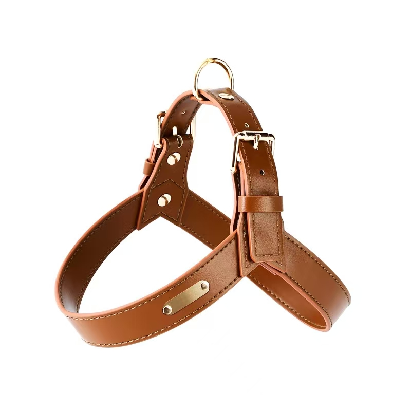 Leather leash