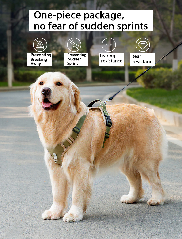 Dog LeashFluorescent Chest HarnessBlast Flush Anti BreakawayLarge Dogs