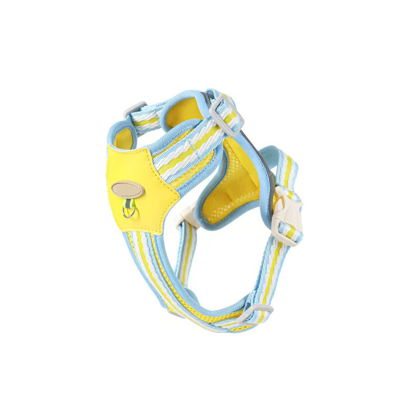 Chest and back leash