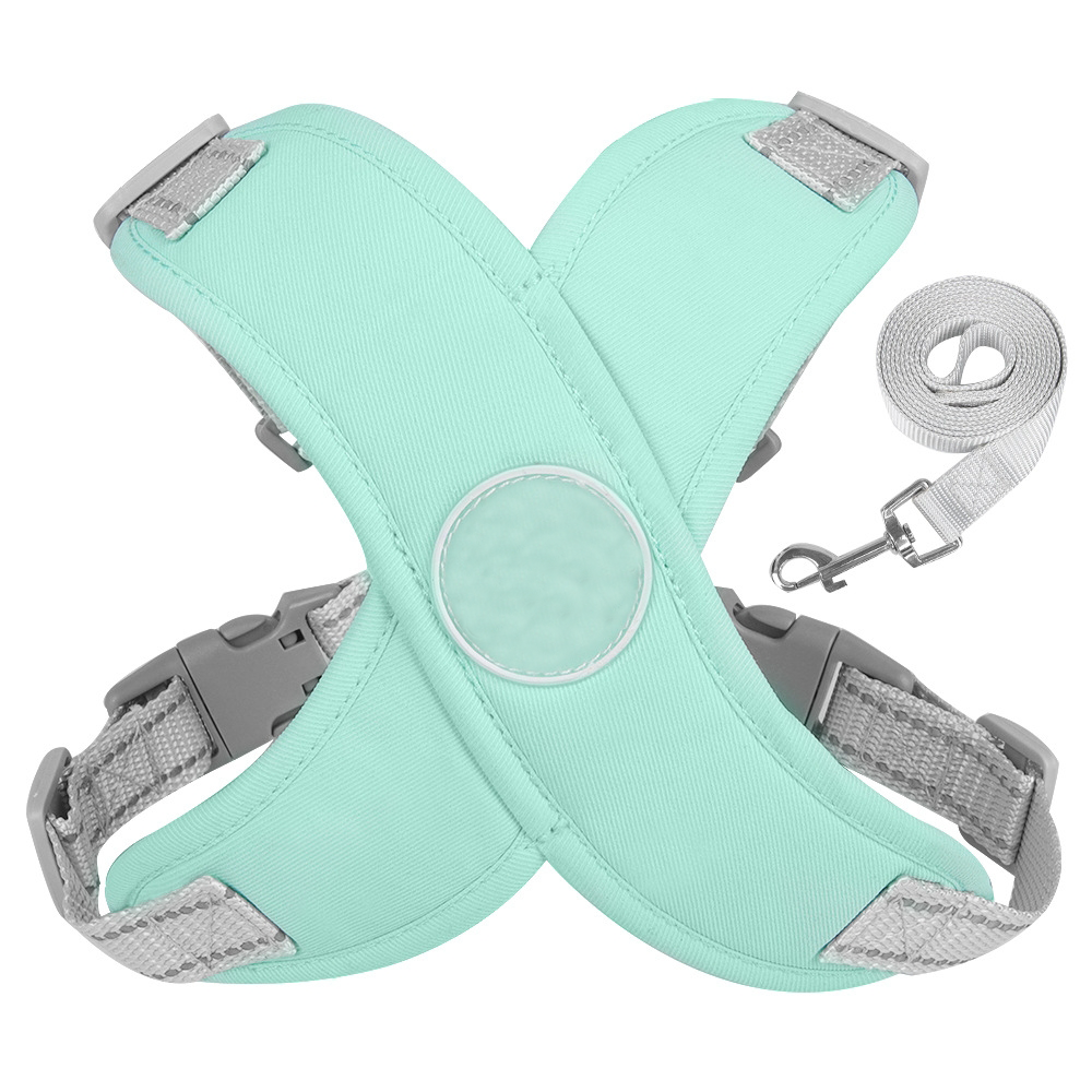 Glow-in-the-dark leash