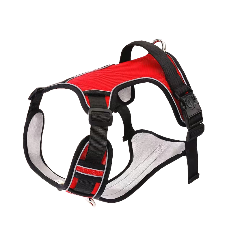 Dog LeashFluorescent Chest HarnessBlast Flush Anti BreakawayLarge Dogs