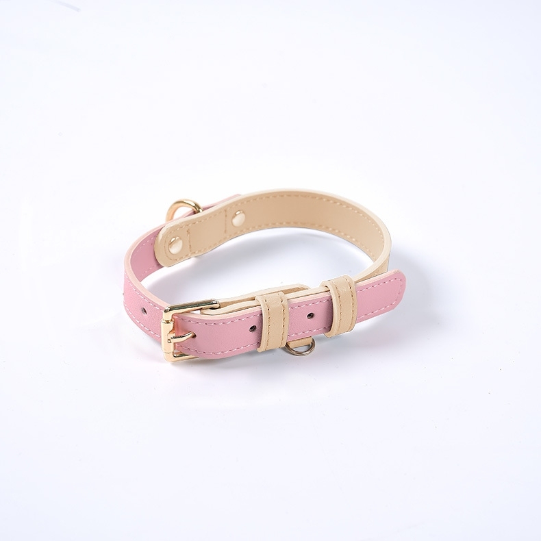 Colorblocked Leather Pet Collar For Small & Medium Dogs