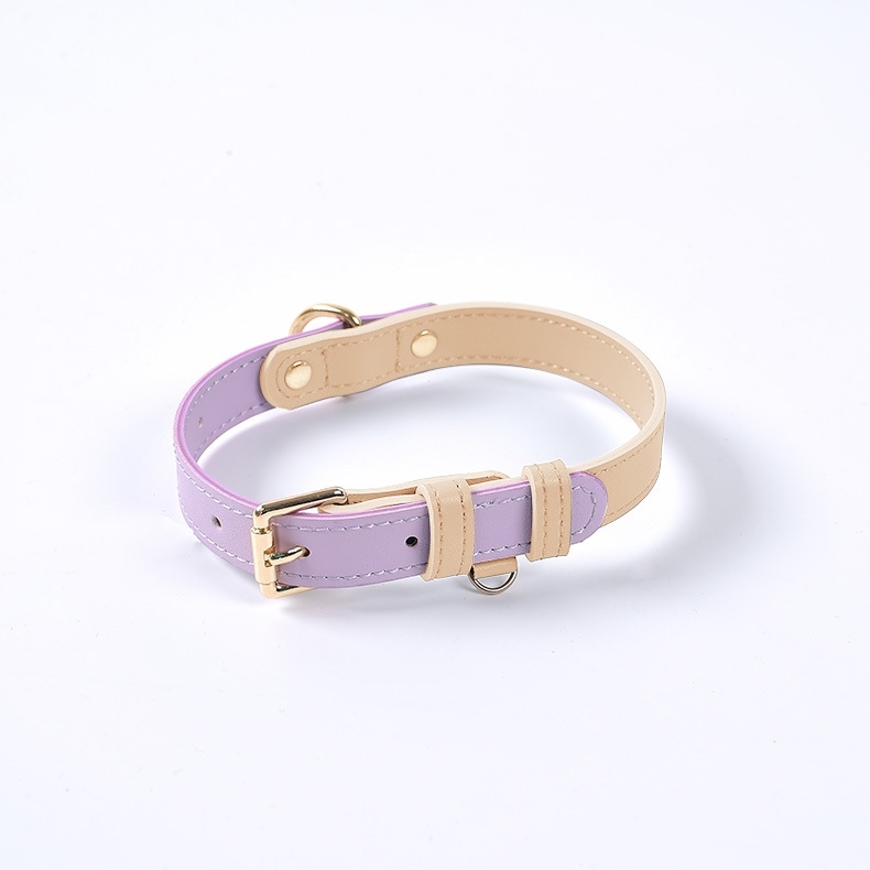 Colorblocked Leather Pet Collar For Small & Medium Dogs