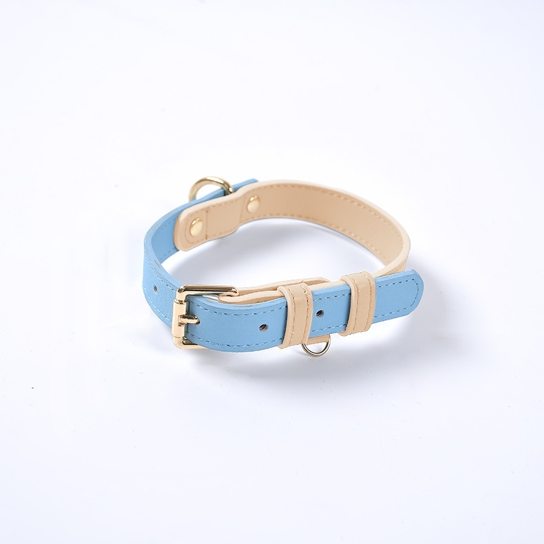 Colorblocked Leather Pet Collar For Small & Medium Dogs