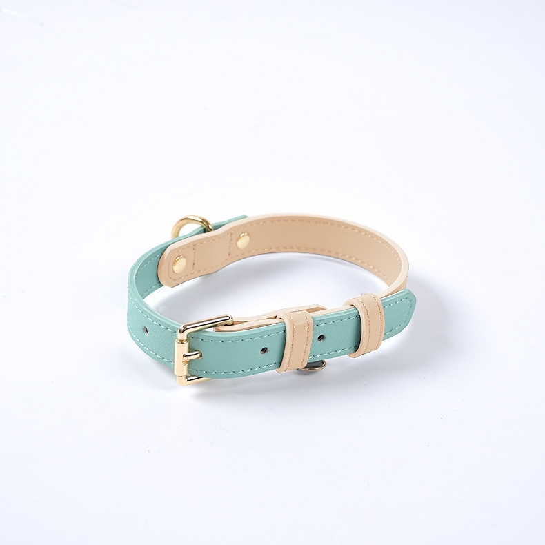 Colorblocked Leather Pet Collar For Small & Medium Dogs