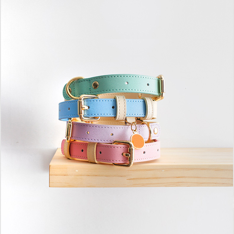 Colorblocked Leather Pet Collar For Small & Medium Dogs