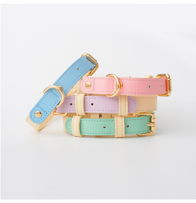 Colorblocked Leather Pet Collar For Small & Medium Dogs
