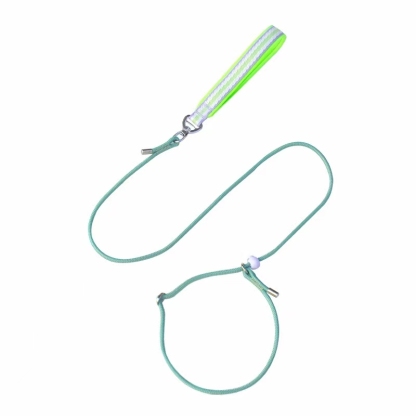 dog leash p leash p chain small and medium dogs explosion proof punch