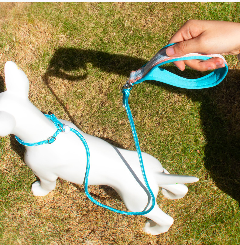 dog leash p leash p chain small and medium dogs explosion proof punch