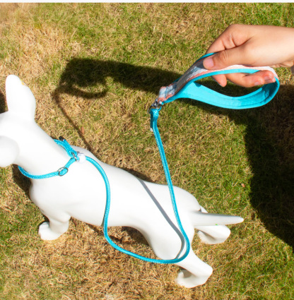dog leash p leash p chain small and medium dogs explosion proof punch