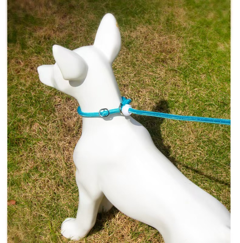 dog leash p leash p chain small and medium dogs explosion proof punch