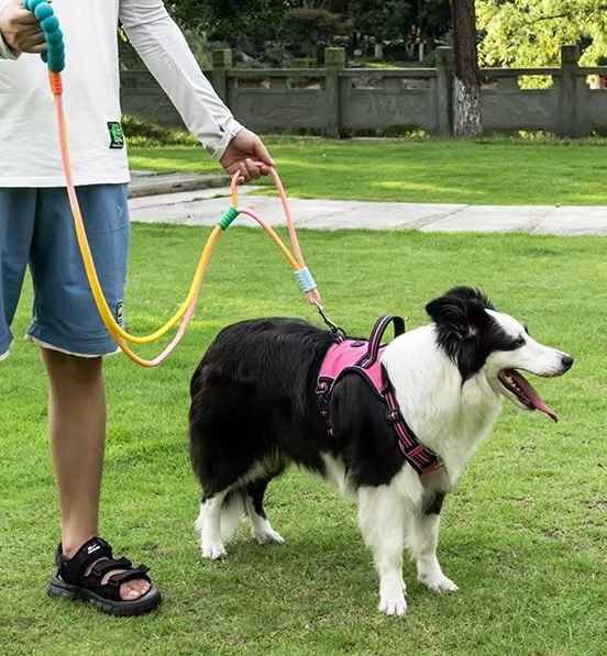 Double Strand Adjustable Crossbody Anti-Lost Leash Space Layer Foam Handle