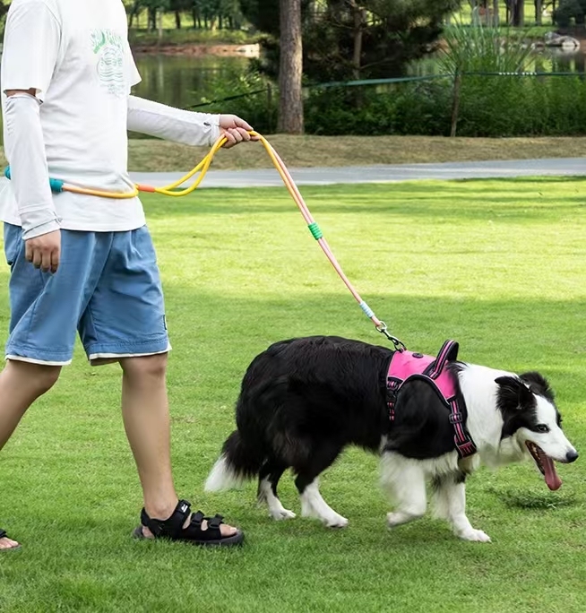 Double Strand Adjustable Crossbody Anti-Lost Leash Space Layer Foam Handle