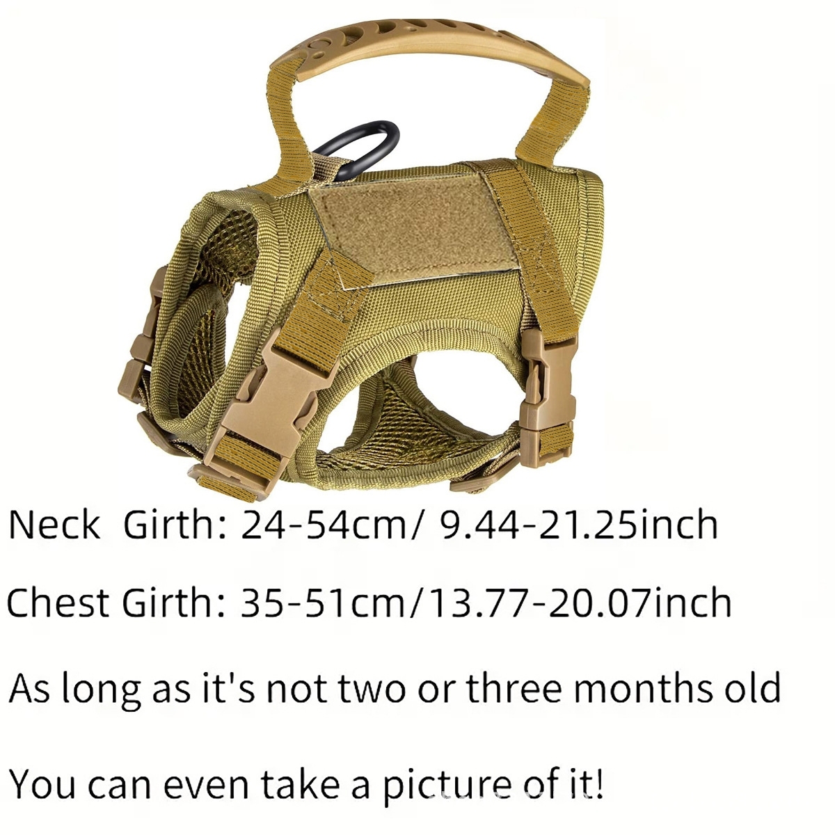 Chest Strap Undershirt Leash Anti-Breakaway Adjustable Outing Cat Leash Dog Small Dog Chain