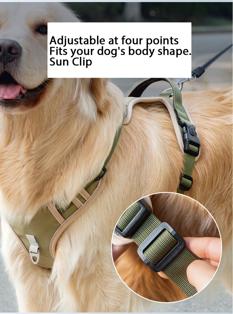 Dog LeashFluorescent Chest HarnessBlast Flush Anti BreakawayLarge Dogs