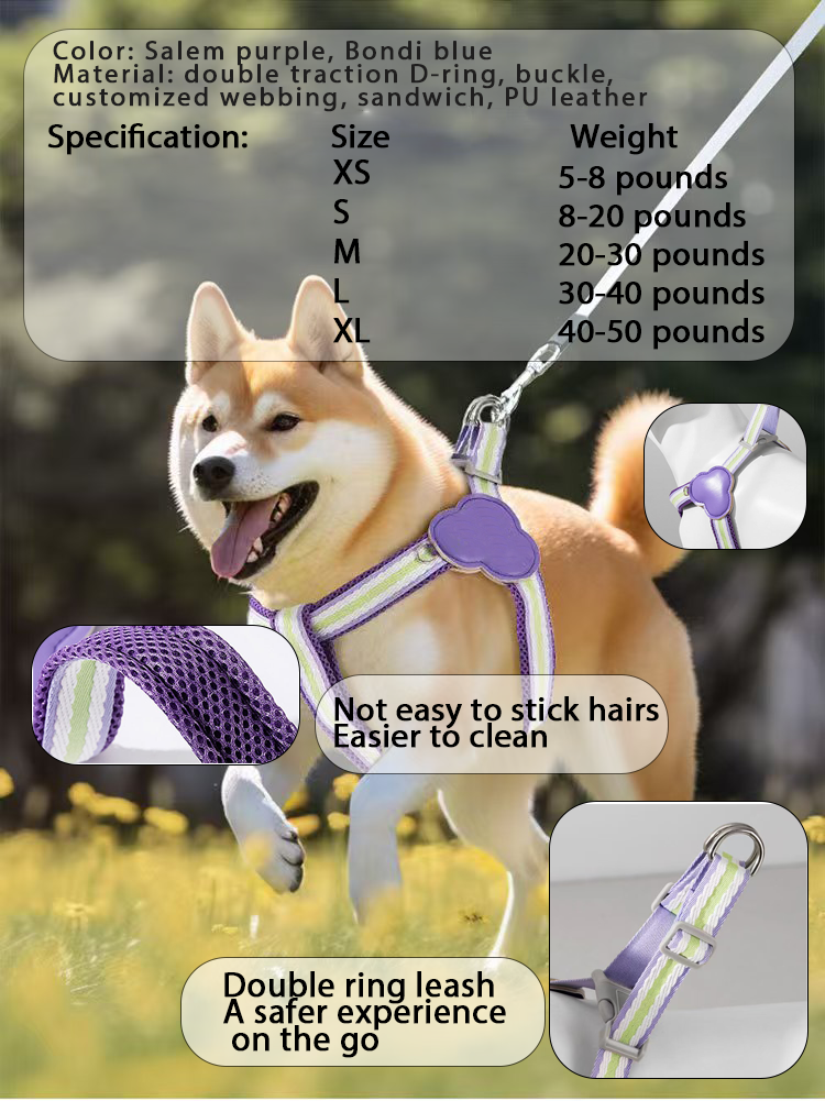 Purple Rainbow Y Leash Small & Medium Dog Outdoor Dog Leash Chest & Back