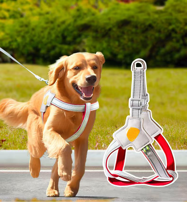 Y-Shape Lightweight Chest & Back Medium & Large Dog Adjustable Dog Leash Reflective Traction