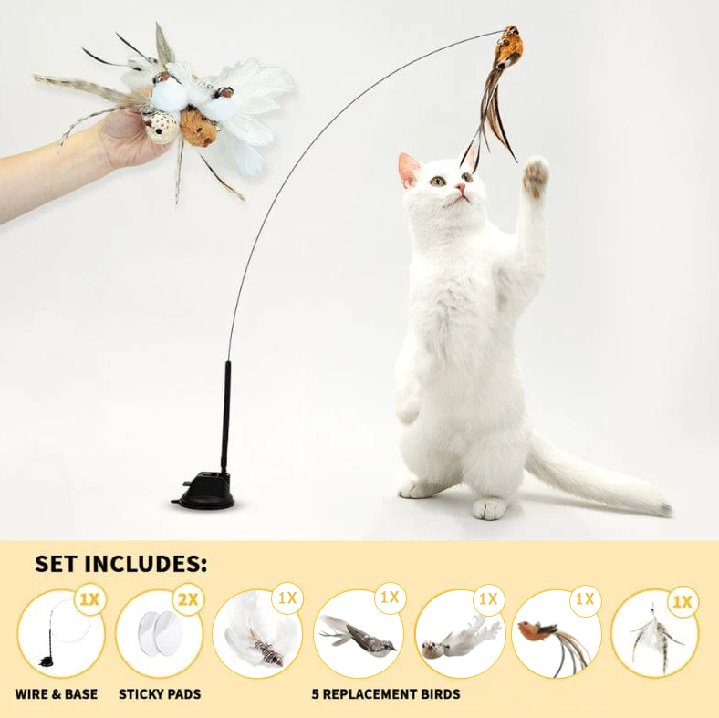 Interactive Bird Simulation Cat Toy Set 