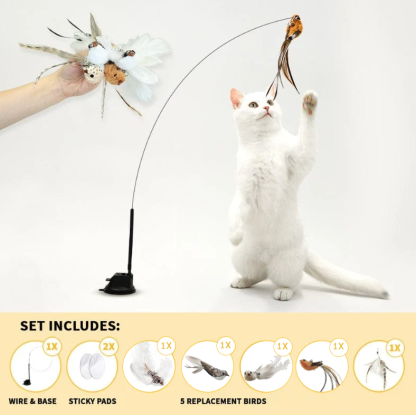 Interactive Bird Simulation Cat Toy Set 