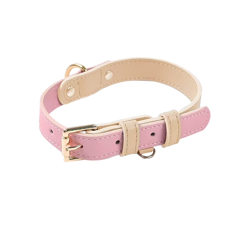 Colorblocked Leather Pet Collar For Small & Medium Dogs