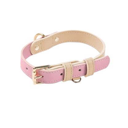Colorblocked Leather Pet Collar For Small & Medium Dogs