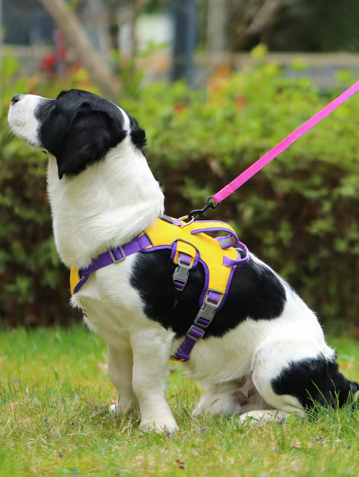 Dog Anti Breakaway Leash Vest Small And Medium Dog Walking Explosion Proof Punch