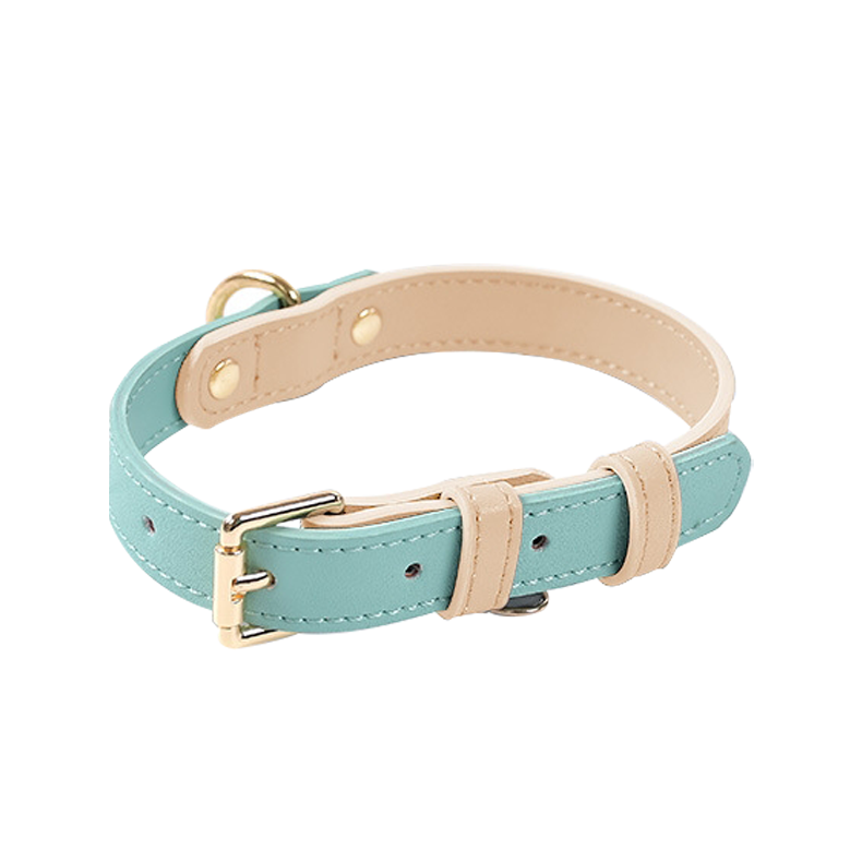 Colorblocked Leather Pet Collar For Small & Medium Dogs