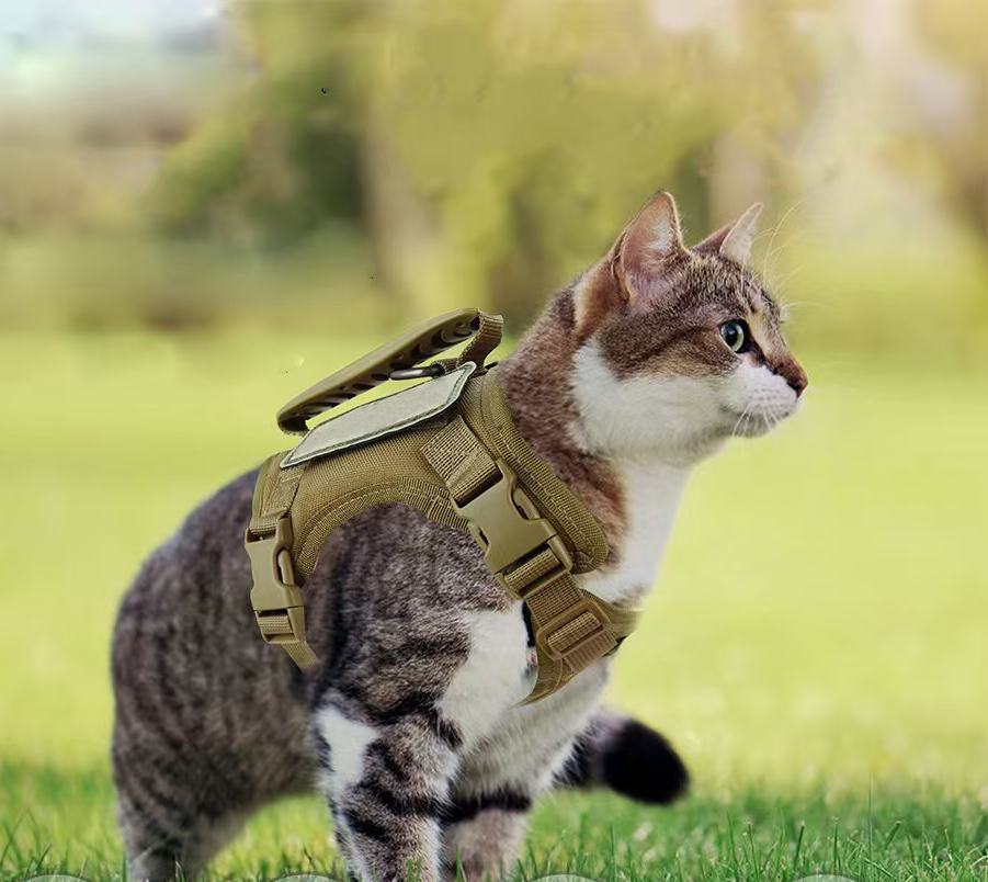 Chest Strap Undershirt Leash Anti-Breakaway Adjustable Outing Cat Leash Dog Small Dog Chain