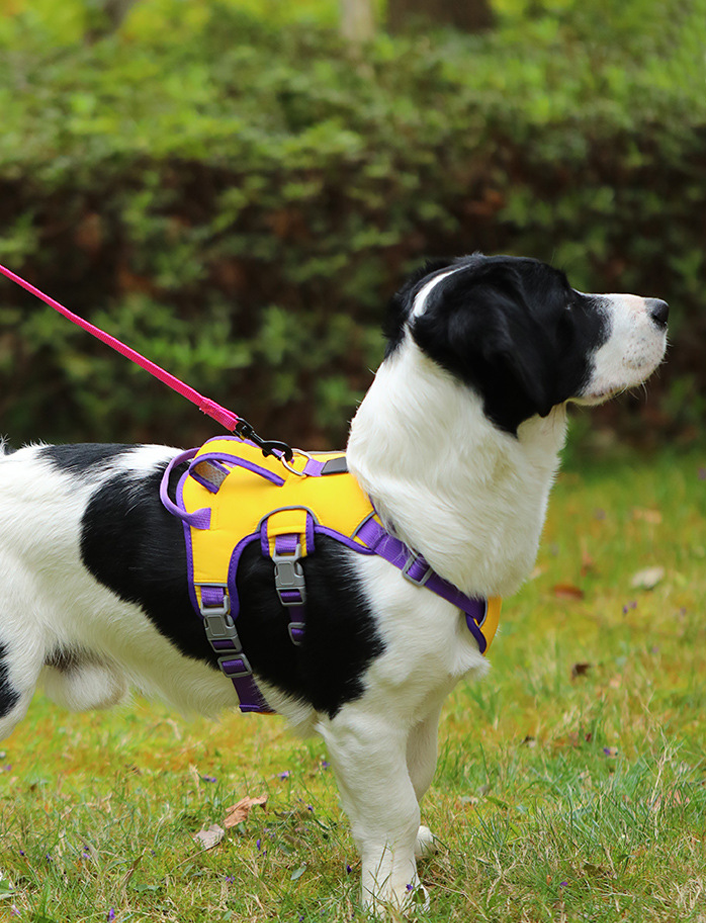 Dog Anti Breakaway Leash Vest Small And Medium Dog Walking Explosion Proof Punch