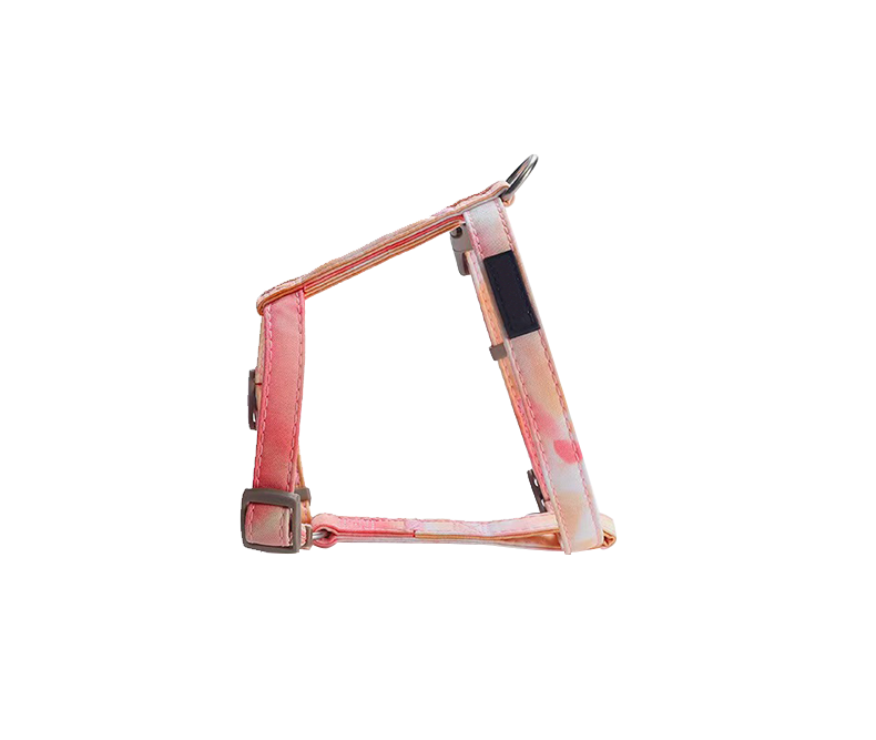 Pet Cat Gradient Color Adjustable Leash