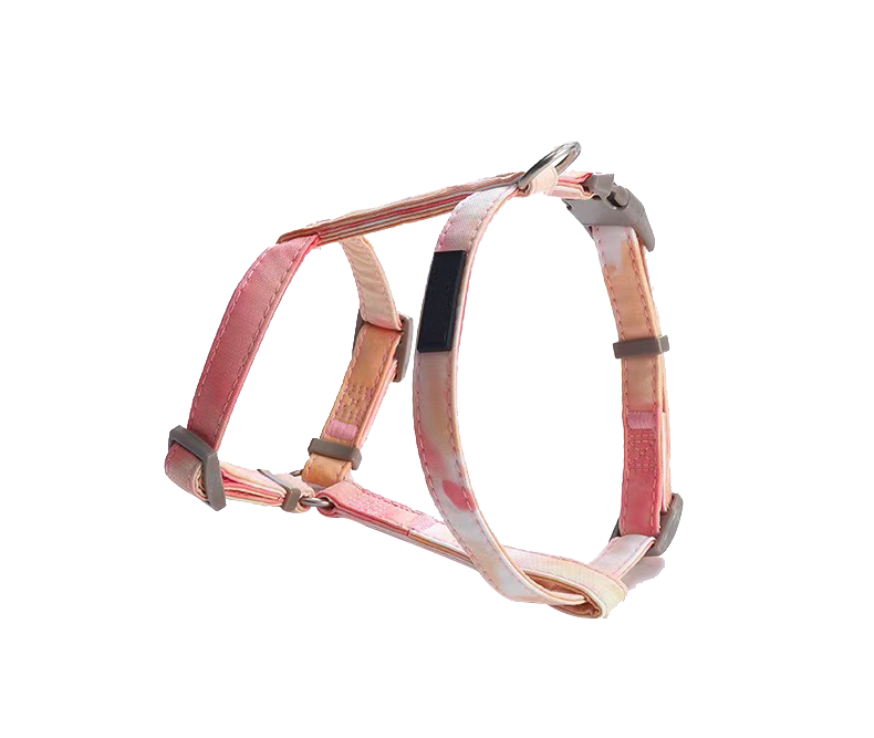 Pet Cat Gradient Color Adjustable Leash