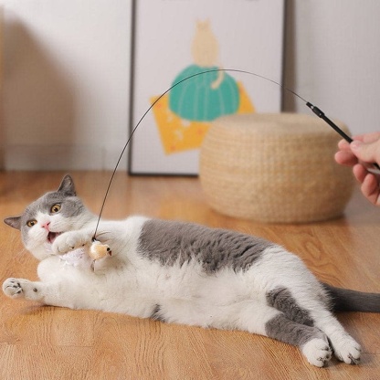 Interactive Bird Simulation Cat Toy Set 